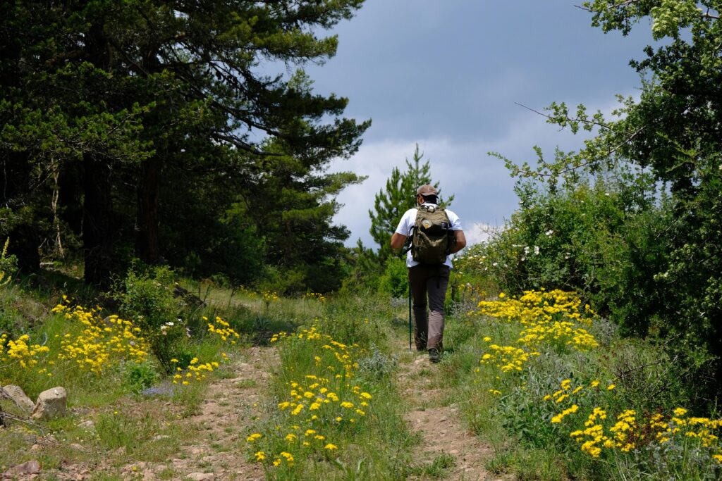 mosquito repellent for travel